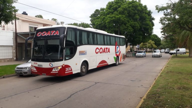 coata 1