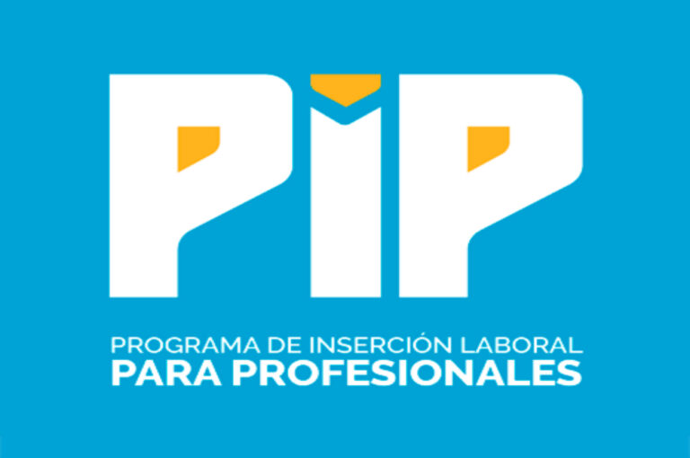 placa-PIP