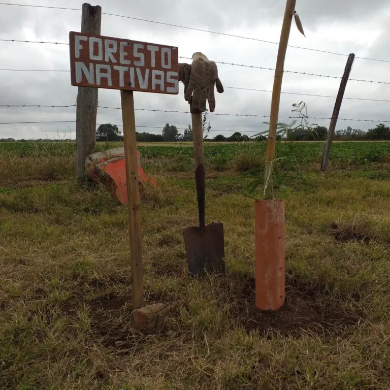 nativas