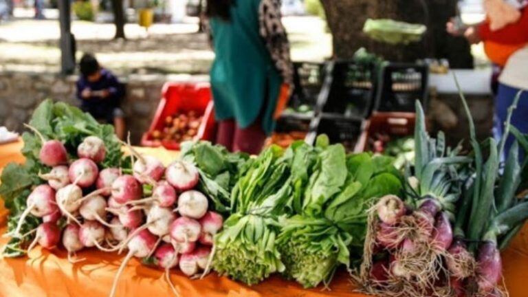 feria agroecologica