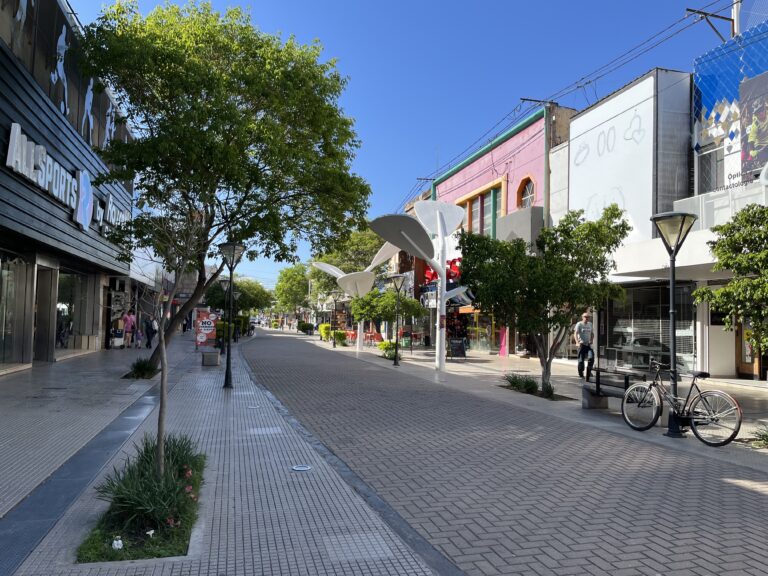 centro villa maría peatonal