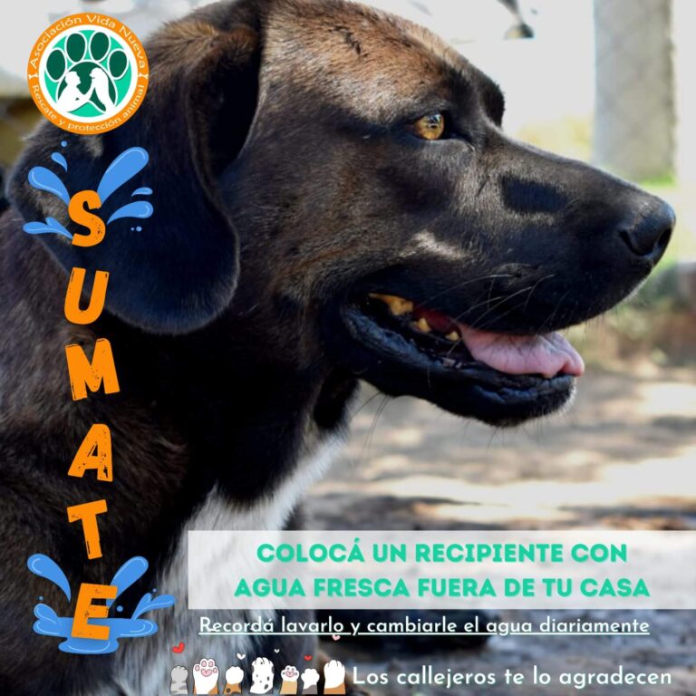 agua- vida nueva