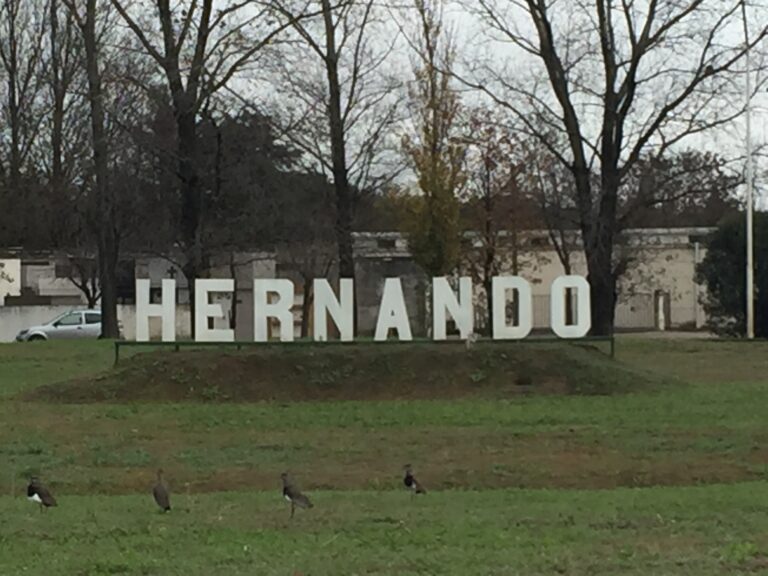 HERNANDO (1)