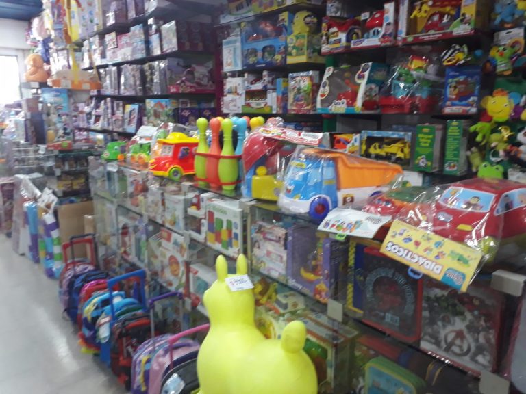 libreria lapilandia
