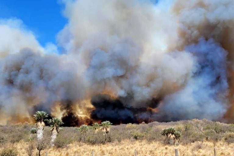 incendio