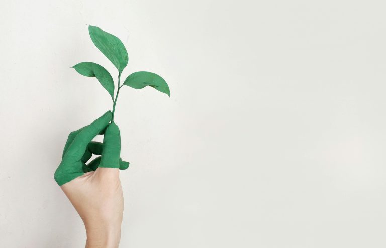 ecología
