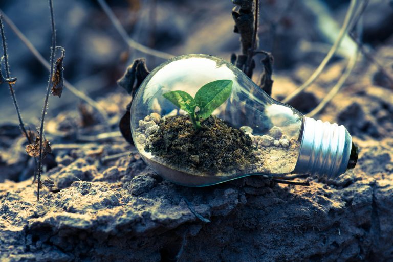 reciclar-medio ambiente