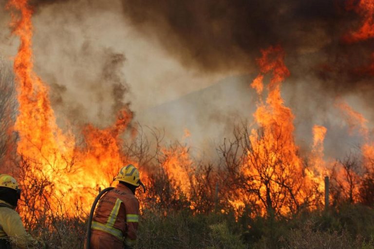 fuego-incendios