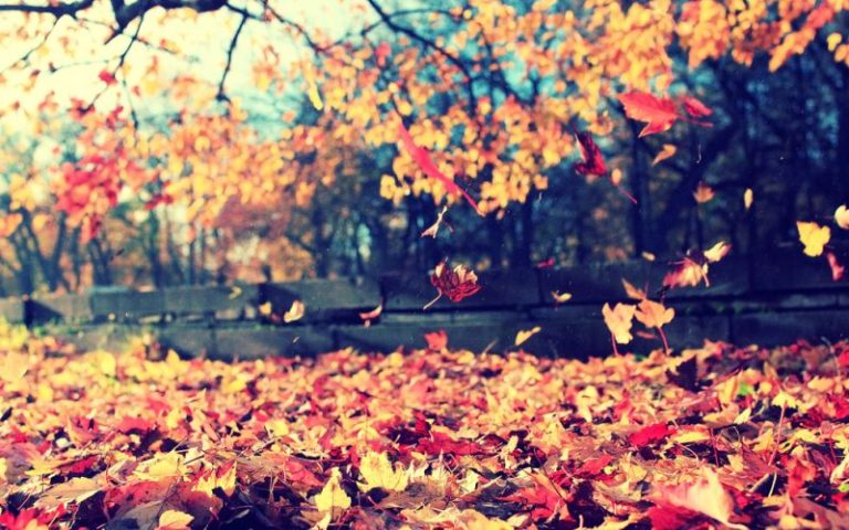 otoño