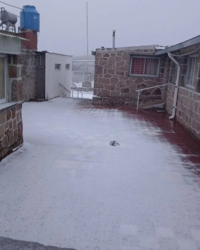 nieve