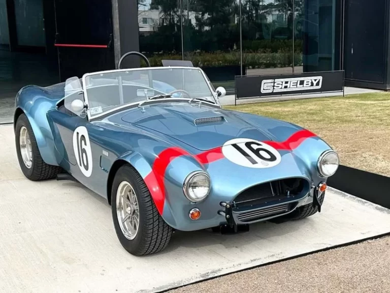 shelby-argentina-1