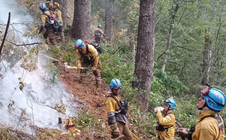 Bomberos-incendio