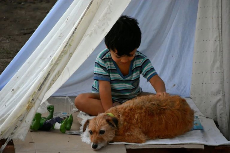 adopción- benicio