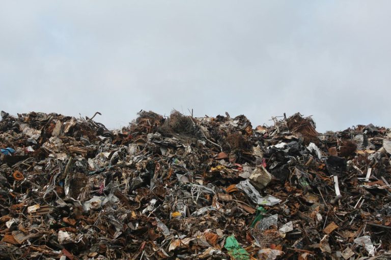 basura-basural