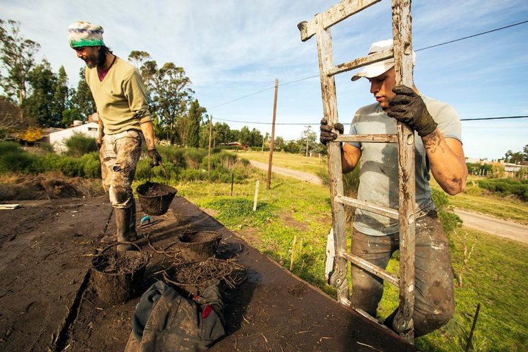 bioconstruccion
