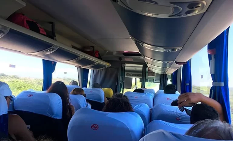COLECTIVO VIAJE