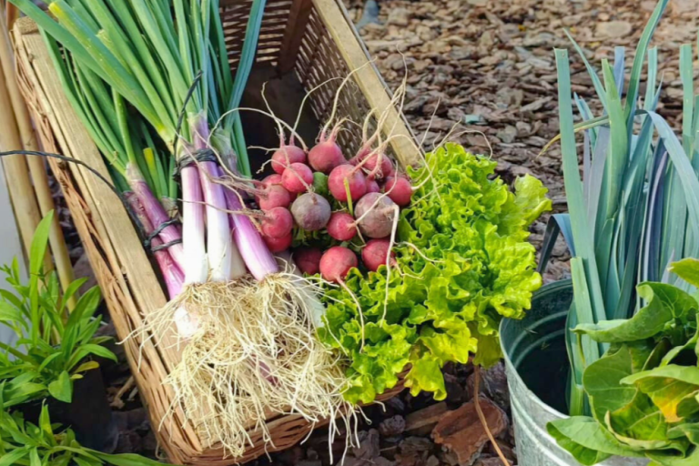 La-Huerta-en-Tu-Hogar-2026-5