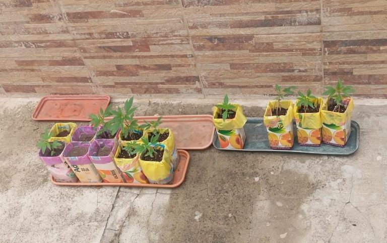 WhatsApp Image 2026-03-11 at 19.47