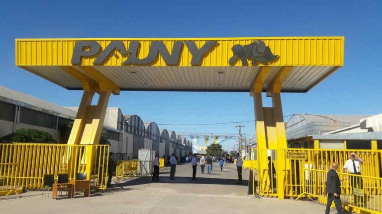 pauny