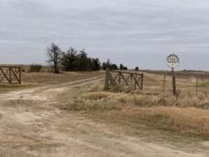 Foto del campo donde encontraron a Martínez