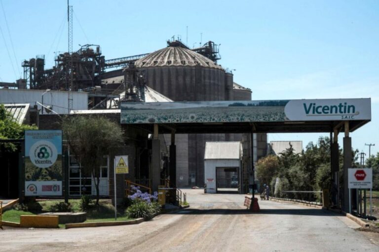 vicentin