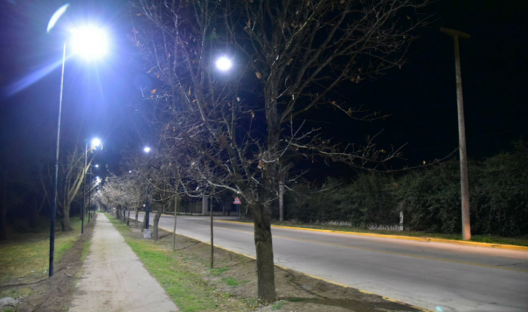 avenida savio