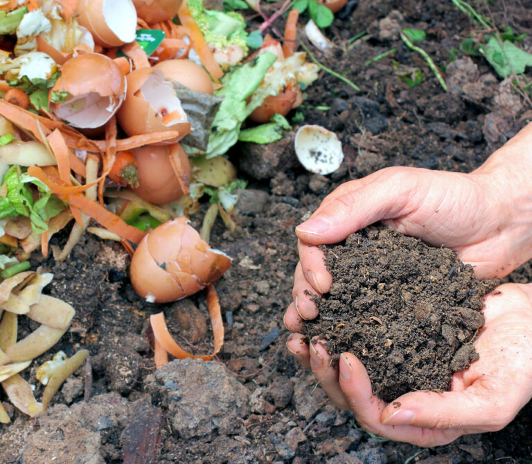 Compost with composted earth