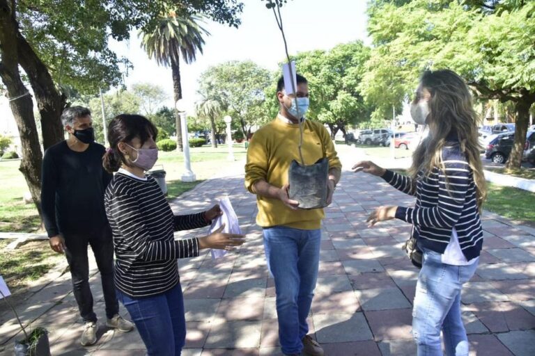 arboles entrega