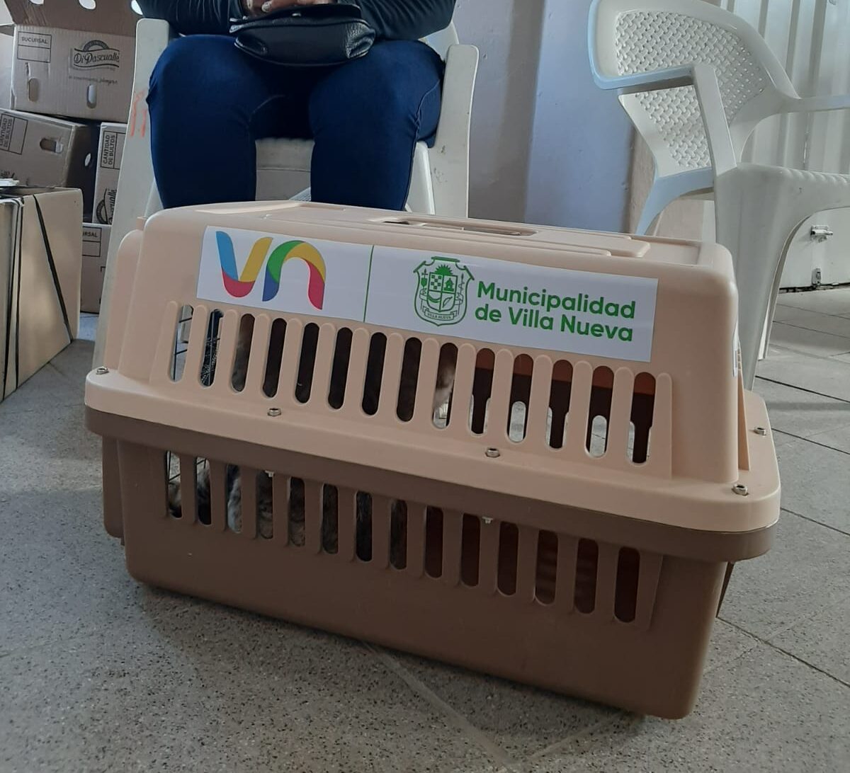 castraciones villa nueva