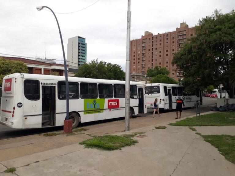 colectivos urbanos