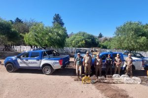 policia ambiental