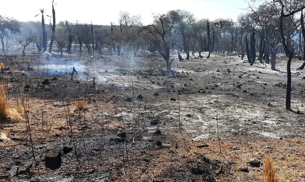 incendios punilla
