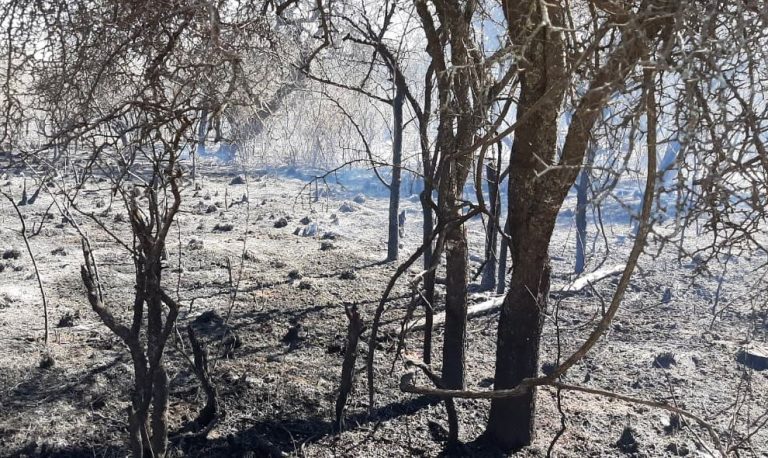 Incendio-Tulumba-2