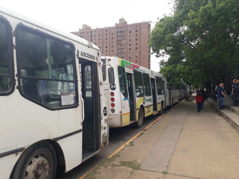 colectivo