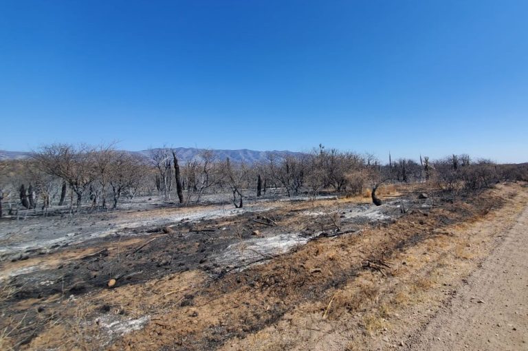 incendios