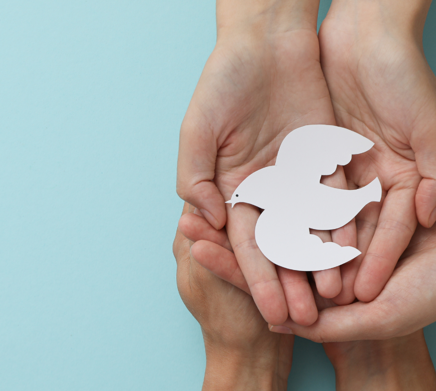 Aprender para una paz duradera