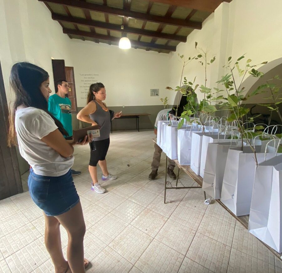 un arbol, una vida