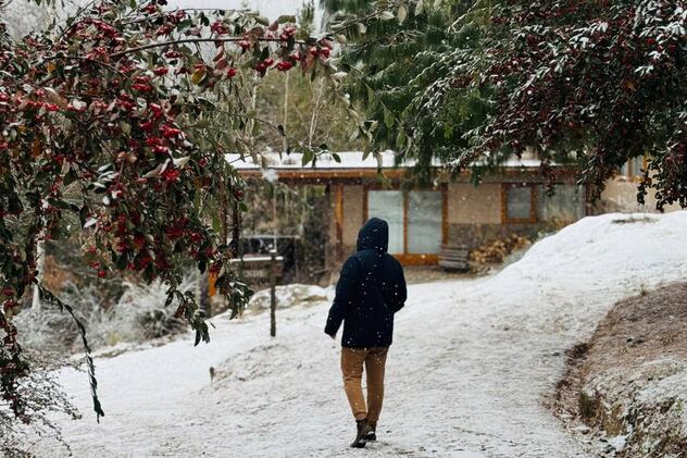 nieve la voz