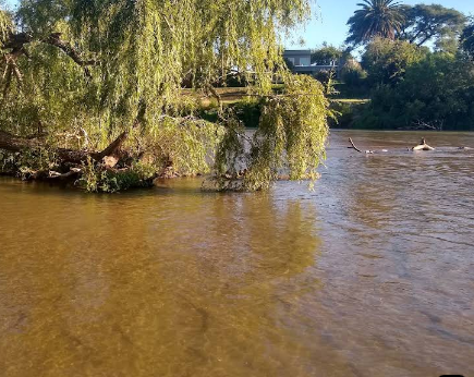 rio playa santa ana