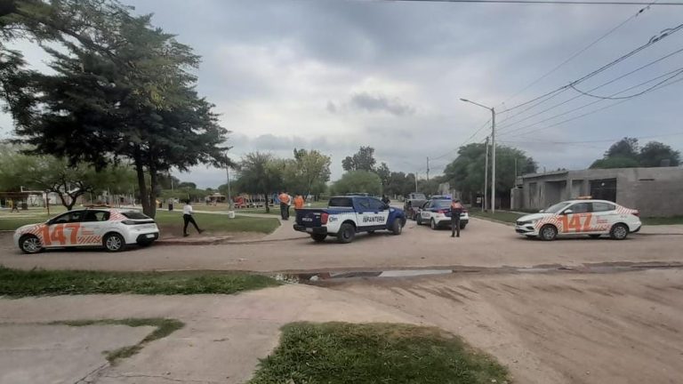 WhatsApp Image 2026-02-17 at 11.42