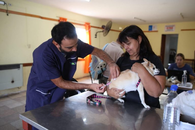 vacunacion antirrabica