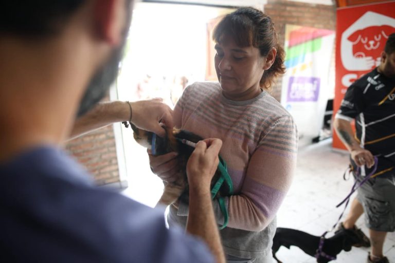 vacuna antirrabica villa maria