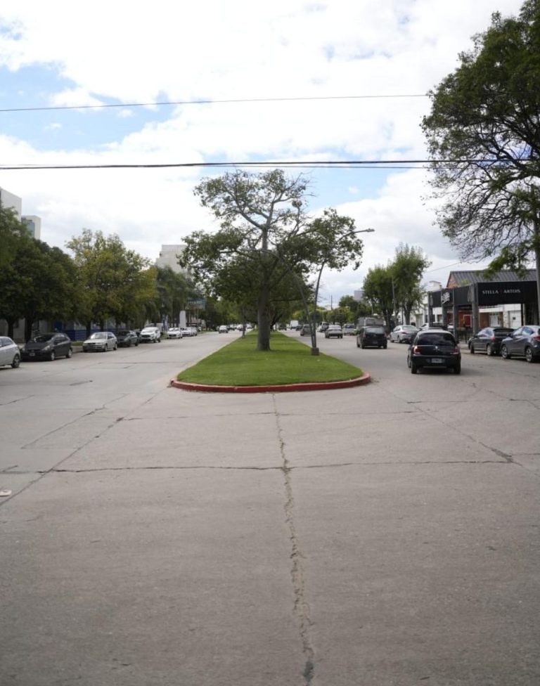 WhatsApp Image 2026-04-08 at 16.09