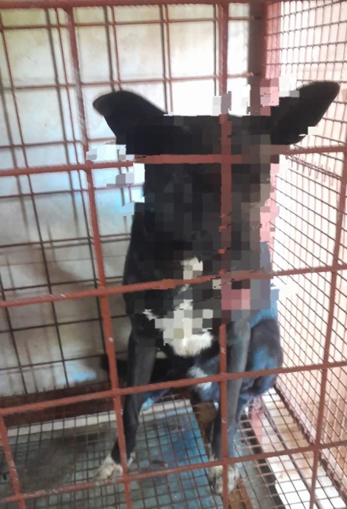 WhatsApp Image 2026-04-17 at 8.29