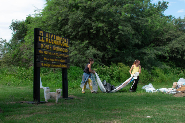 el algarrobal
