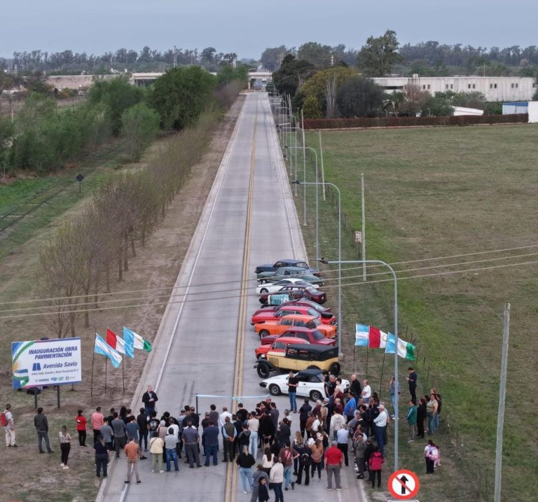 avenida savio