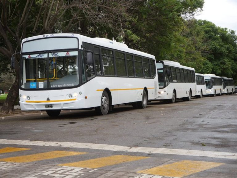 colectivos urbanos